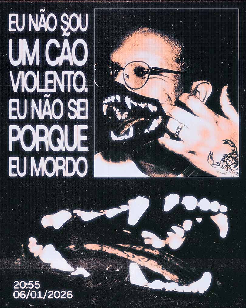 EU NÃO SOU UM CÃO VIOLENTO